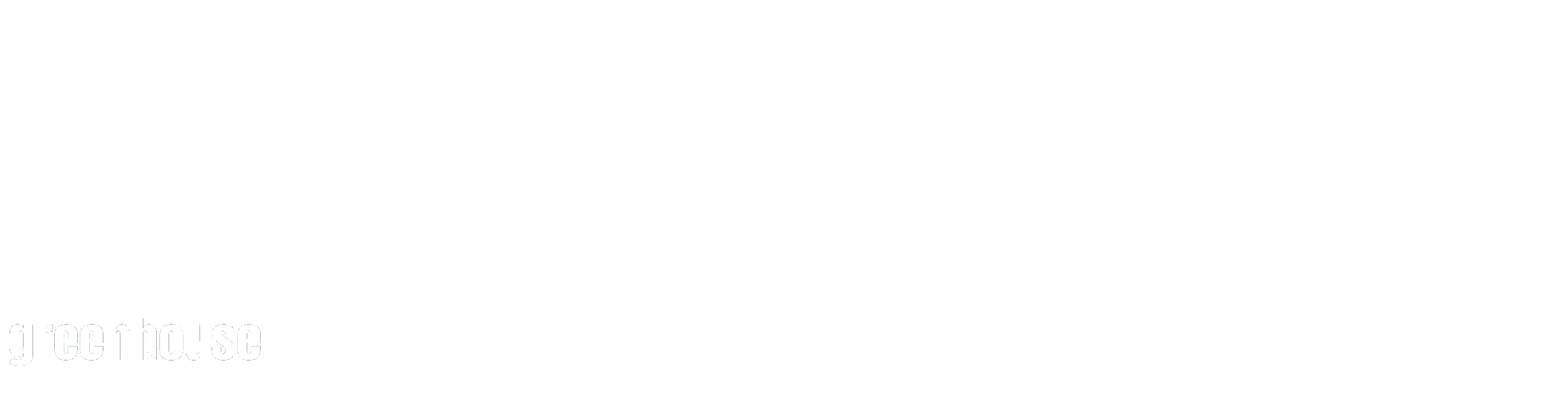 SNOW, ShopSolar, ORLY, Orttu, BURGA, Sunwarrior, Tailored Athletes, ReBuy, Andar, Hyperbiotics, GreenHouse Emporium, AppSumo, Fusion and BlendJet