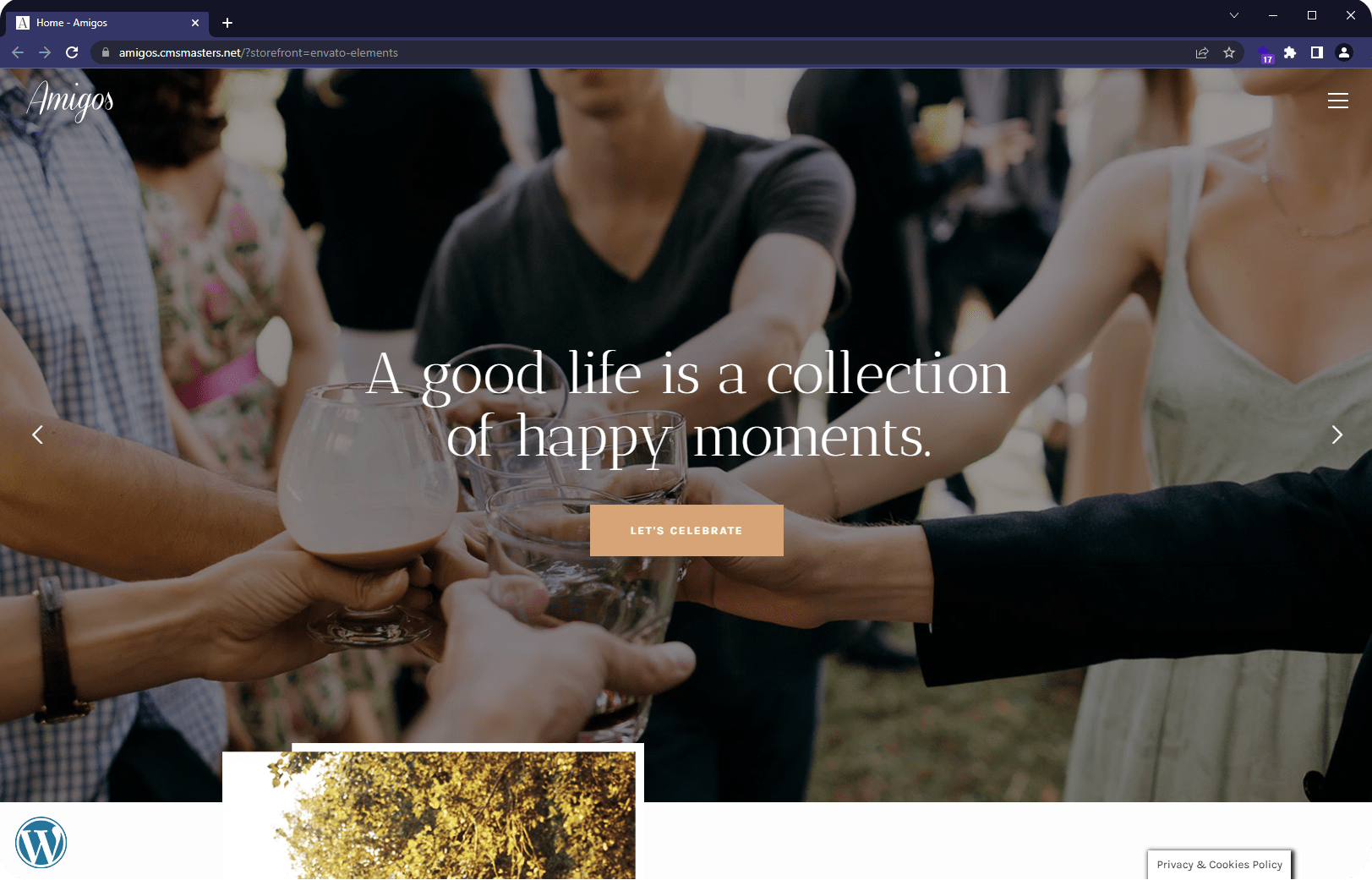 wordpress blog add on shopify