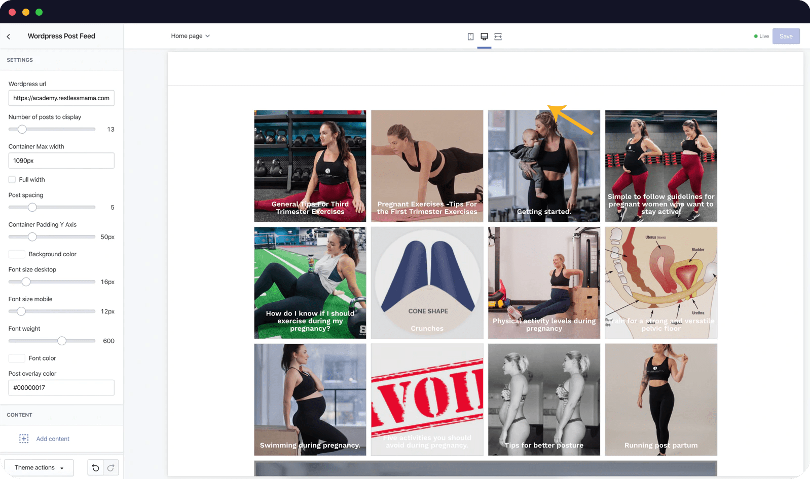 wordpress blogs on shopify